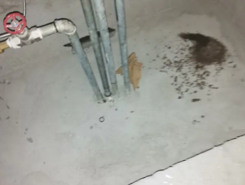 漳浦卫生间测漏水价格明细